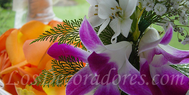 Canasta de pétalos y orquídeas